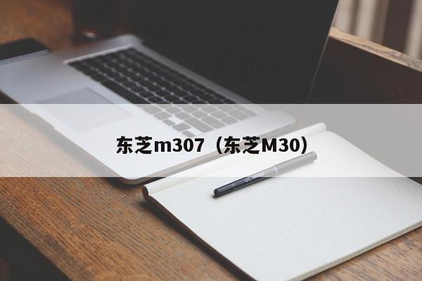 东芝m307（东芝M30）